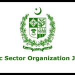 Public Sector Organization